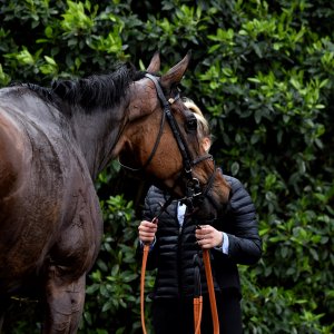 Sandown Park | Jump Finale | 27/4/24