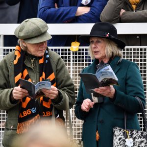 Sandown Park | Jump Finale | 27/4/24