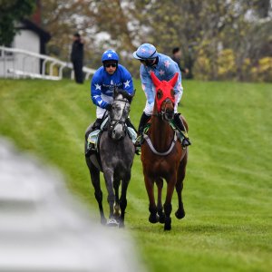 Sandown Park | Jump Finale | 27/4/24