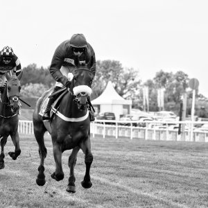Sandown Park | Jump Finale | 27/4/24