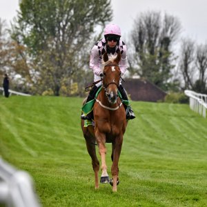 Sandown Park | Jump Finale | 27/4/24