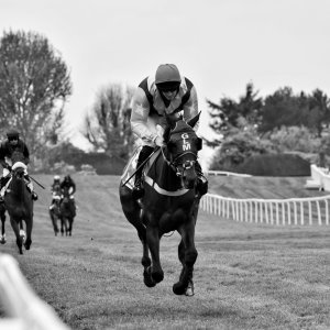 Sandown Park | Jump Finale | 27/4/24