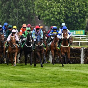 Sandown Park | Jump Finale | 27/4/24