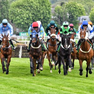 Sandown Park | Jump Finale | 27/4/24