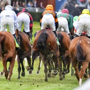 Sandown Park | Jump Finale | 27/4/24