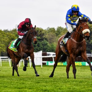 Sandown Park | Jump Finale | 27/4/24
