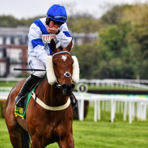 Sandown Park | Jump Finale | 27/4/24