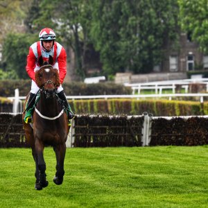 Sandown Park | Jump Finale | 27/4/24