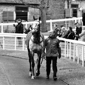 Sandown Park | Jump Finale | 27/4/24