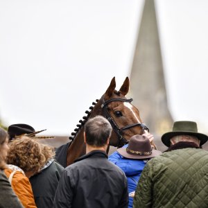 Sandown Park | Jump Finale | 27/4/24