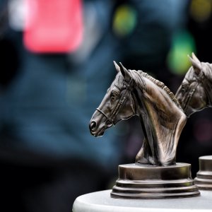 Sandown Park | Jump Finale | 27/4/24