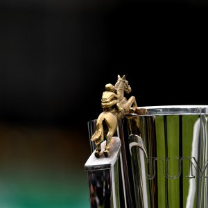 Sandown Park | Jump Finale | 27/4/24