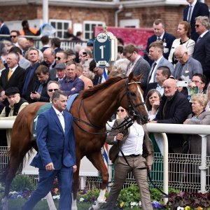 York | Dante Festival | 13/5/22