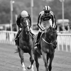 York | Dante Festival | 13/5/22