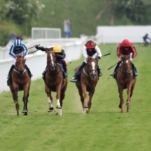 York | Dante Festival | 13/5/22