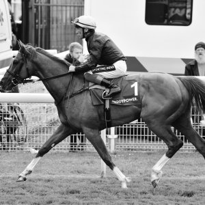 York | Dante Festival | 13/5/22