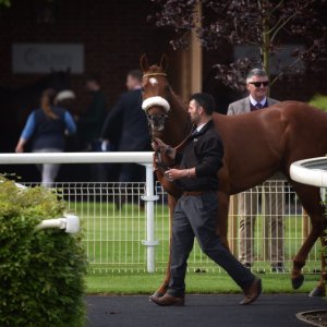 York | Dante Festival | 13/5/22