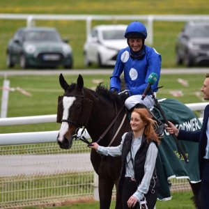 York | Dante Festival | 13/5/22