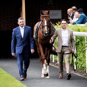 York | Dante Festival | 13/5/22