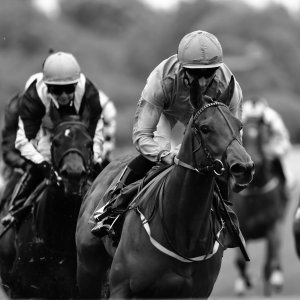 York | Dante Festival | 13/5/22