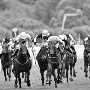 York | Dante Festival | 13/5/22