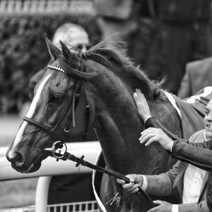 York | Dante Festival | 13/5/22