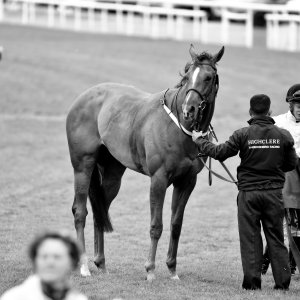 York | Dante Festival | 13/5/22