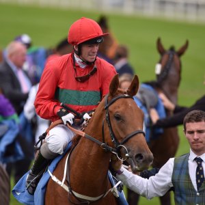 York | Dante Festival | 13/5/22