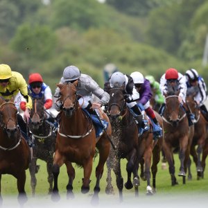 York | Dante Festival | 13/5/22