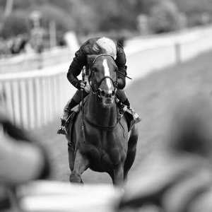 York | Dante Festival | 13/5/22