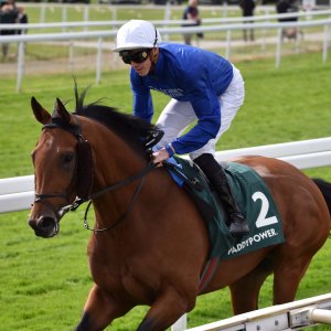 York | Dante Festival | 13/5/22