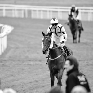 York | Dante Festival | 13/5/22