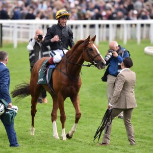 York | Dante Festival | 13/5/22