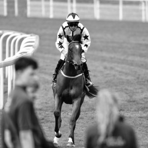 York | Dante Festival | 13/5/22