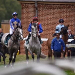 York | Dante Festival | 13/5/22