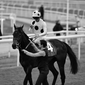 York | Dante Festival | 13/5/22