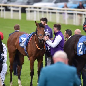 York | Dante Festival | 13/5/22