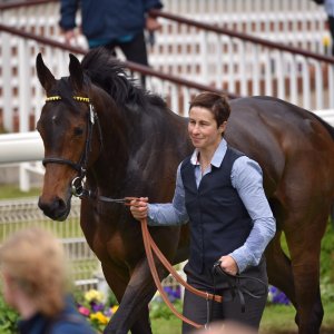 York | Dante Festival | 13/5/22