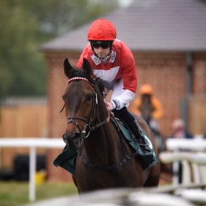 York | Dante Festival | 13/5/22