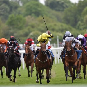 York | Dante Festival | 13/5/22