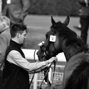 York | Dante Festival | 13/5/22
