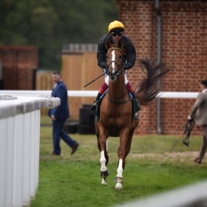 York | Dante Festival | 13/5/22