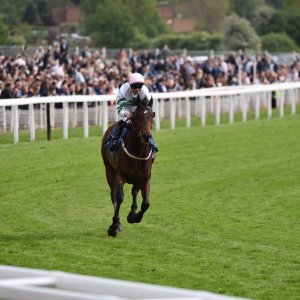 York | Dante Festival | 13/5/22