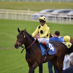 York | Dante Festival | 13/5/22