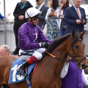 York | Dante Festival | 13/5/22