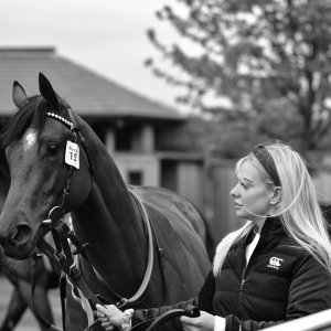 York | Dante Festival | 13/5/22