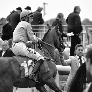 York | Dante Festival | 13/5/22