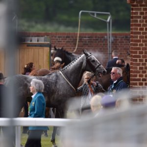 York | Dante Festival | 13/5/22
