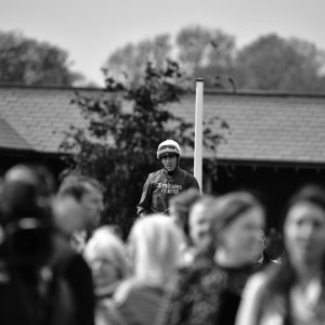 York | Dante Festival | 13/5/22