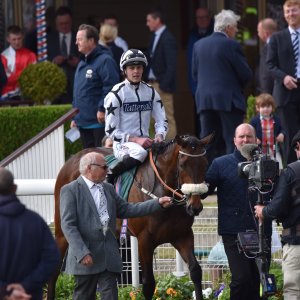 York | Dante Festival | 13/5/22